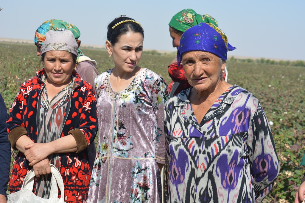 Olim haqida porno video